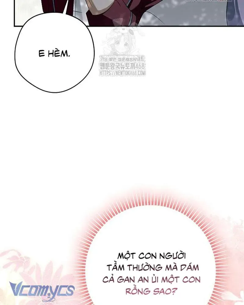 Các Nam Chính Đã Bị Nữ Phụ Cướp Mất Chap 62 - Next Chap 61