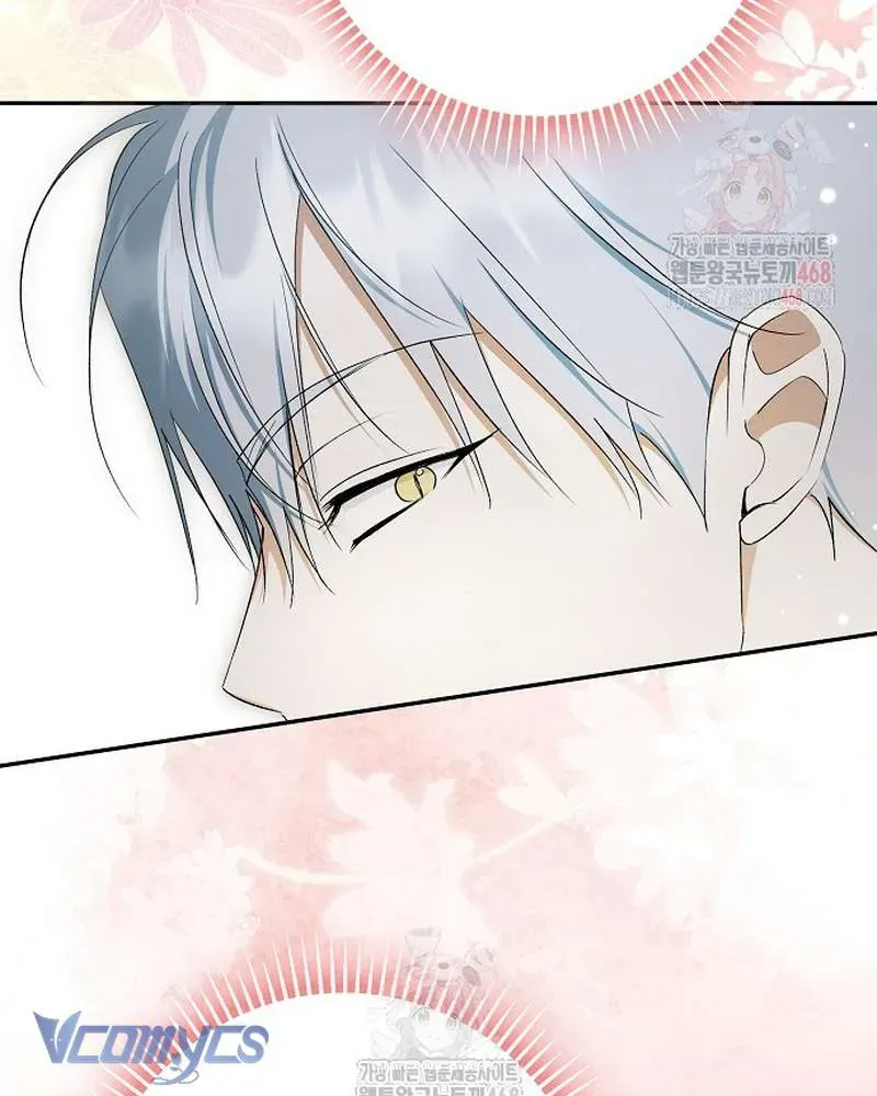 Các Nam Chính Đã Bị Nữ Phụ Cướp Mất Chap 62 - Next Chap 61