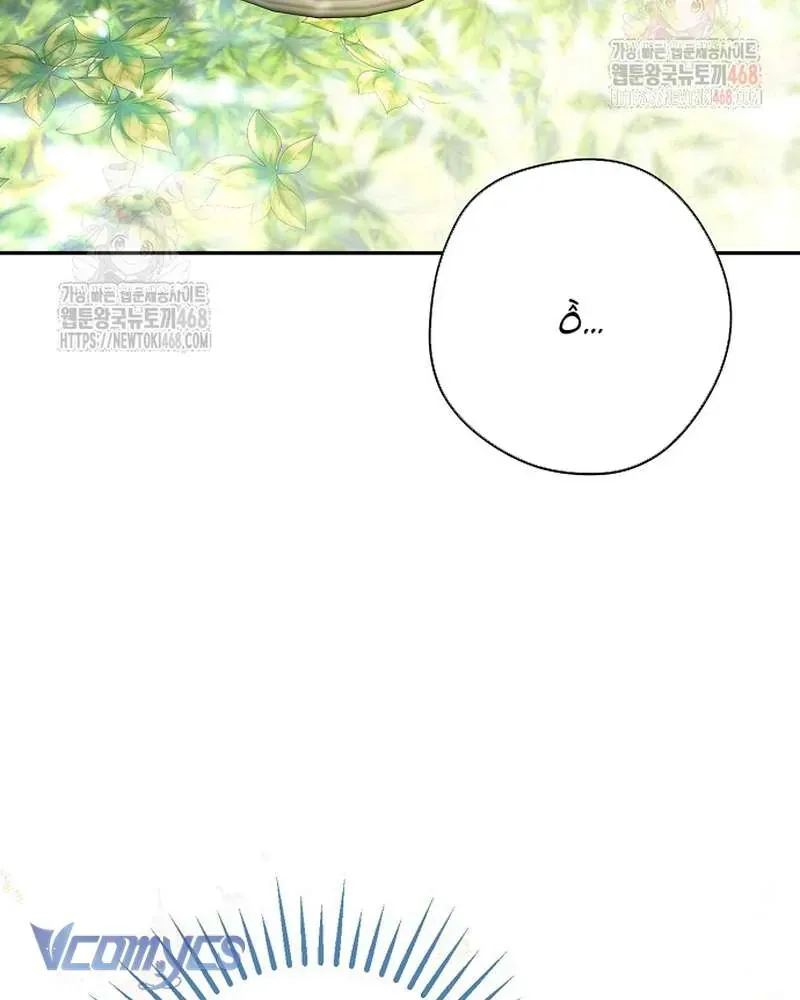 Các Nam Chính Đã Bị Nữ Phụ Cướp Mất Chap 62 - Next Chap 61