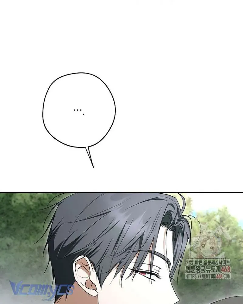 Các Nam Chính Đã Bị Nữ Phụ Cướp Mất Chap 62 - Next Chap 61