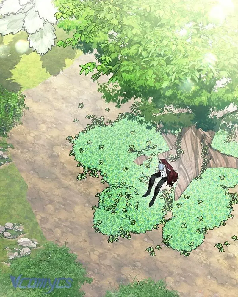 Các Nam Chính Đã Bị Nữ Phụ Cướp Mất Chap 62 - Next Chap 61