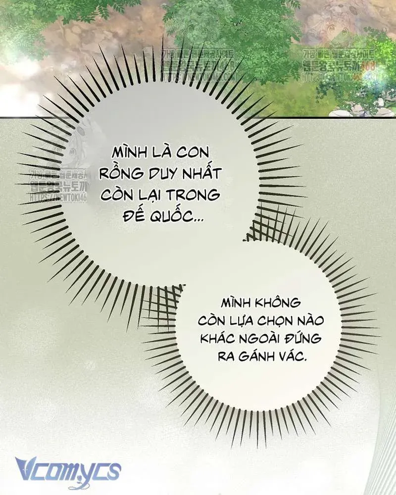 Các Nam Chính Đã Bị Nữ Phụ Cướp Mất Chap 62 - Next Chap 61