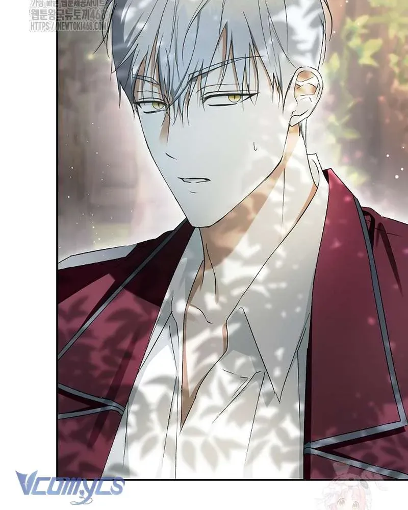 Các Nam Chính Đã Bị Nữ Phụ Cướp Mất Chap 62 - Next Chap 61