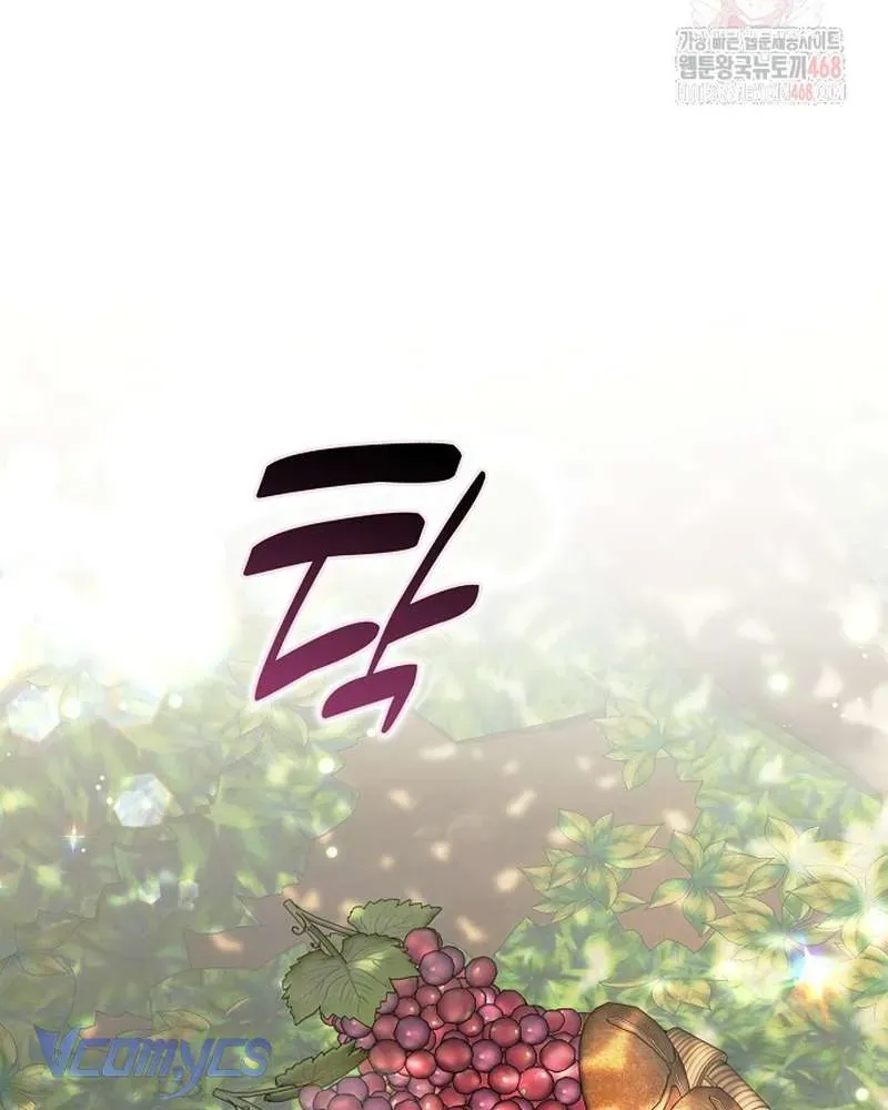 Các Nam Chính Đã Bị Nữ Phụ Cướp Mất Chap 62 - Next Chap 61