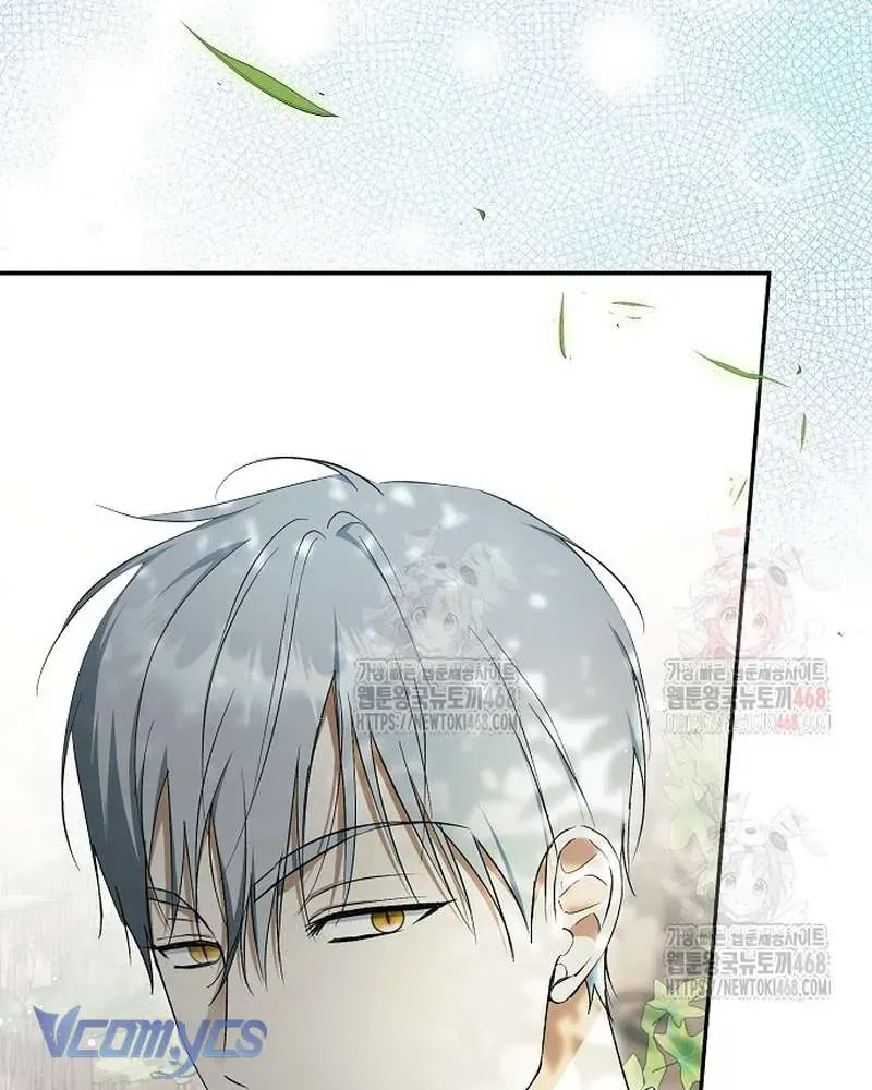 Các Nam Chính Đã Bị Nữ Phụ Cướp Mất Chap 62 - Next Chap 61