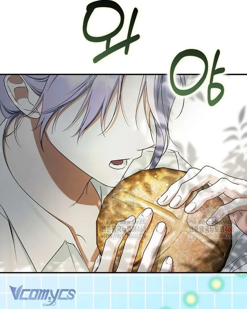 Các Nam Chính Đã Bị Nữ Phụ Cướp Mất Chap 62 - Next Chap 61