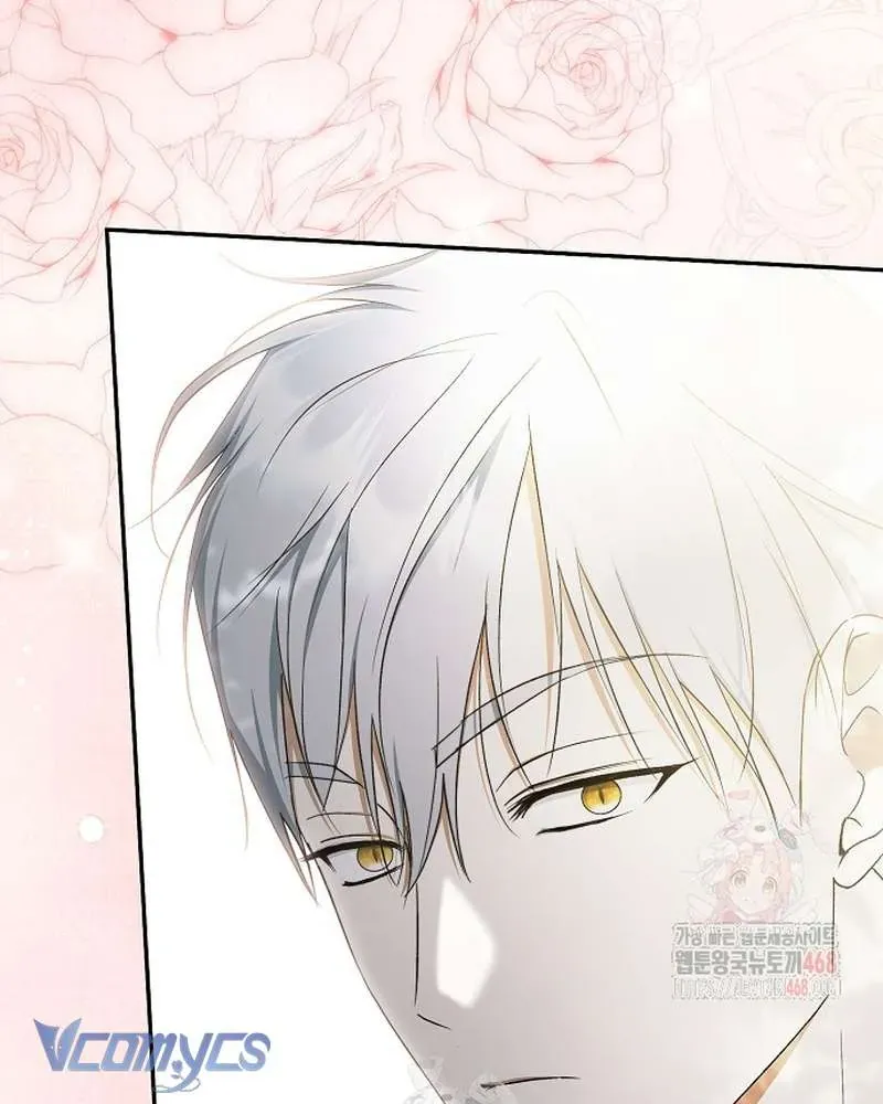 Các Nam Chính Đã Bị Nữ Phụ Cướp Mất Chap 62 - Next Chap 61