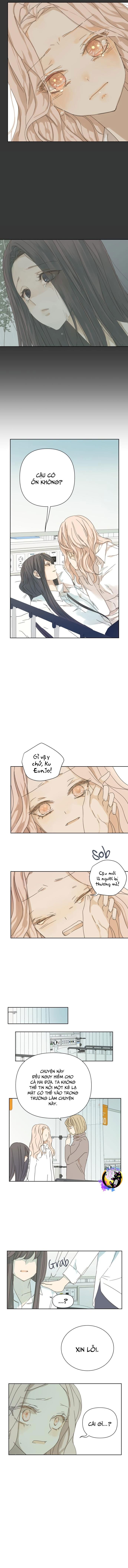 Cô Nàng Sắc Sảo Chap 27 - Next Chap 26