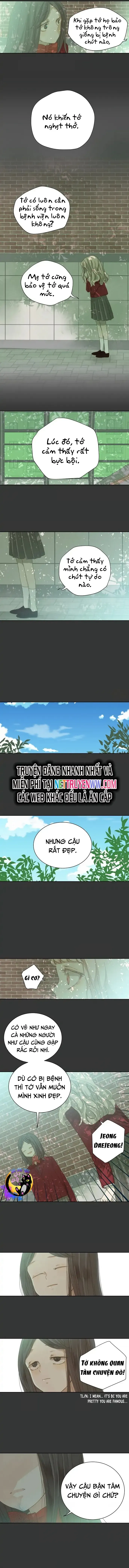 Cô Nàng Sắc Sảo Chap 44 - Next Chap 43