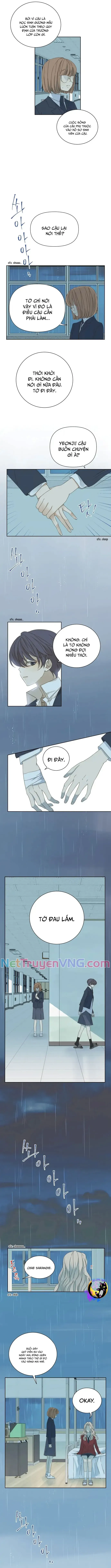 Cô Nàng Sắc Sảo Chap 48 - Next Chap 47