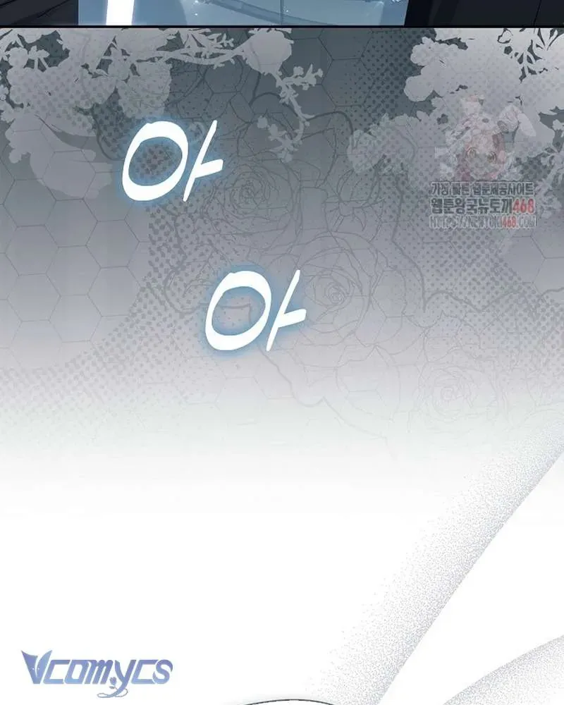 Các Nam Chính Đã Bị Nữ Phụ Cướp Mất Chap 63 - Next Chap 62