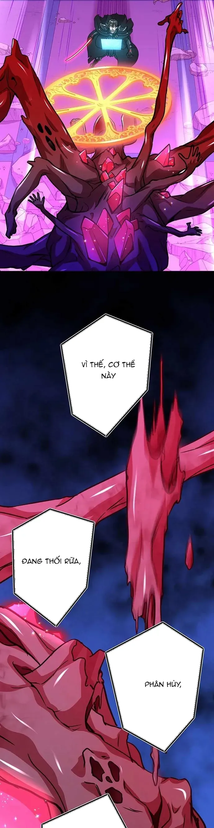 Trang 17 - Hấp Thụ Cấp Độ