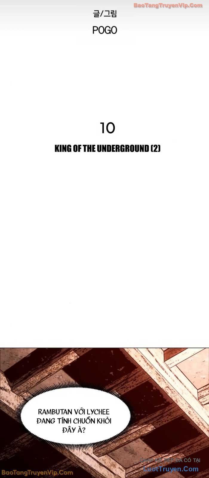 Vùng Đất Sương Mù Chap 10 - Next Chap 11