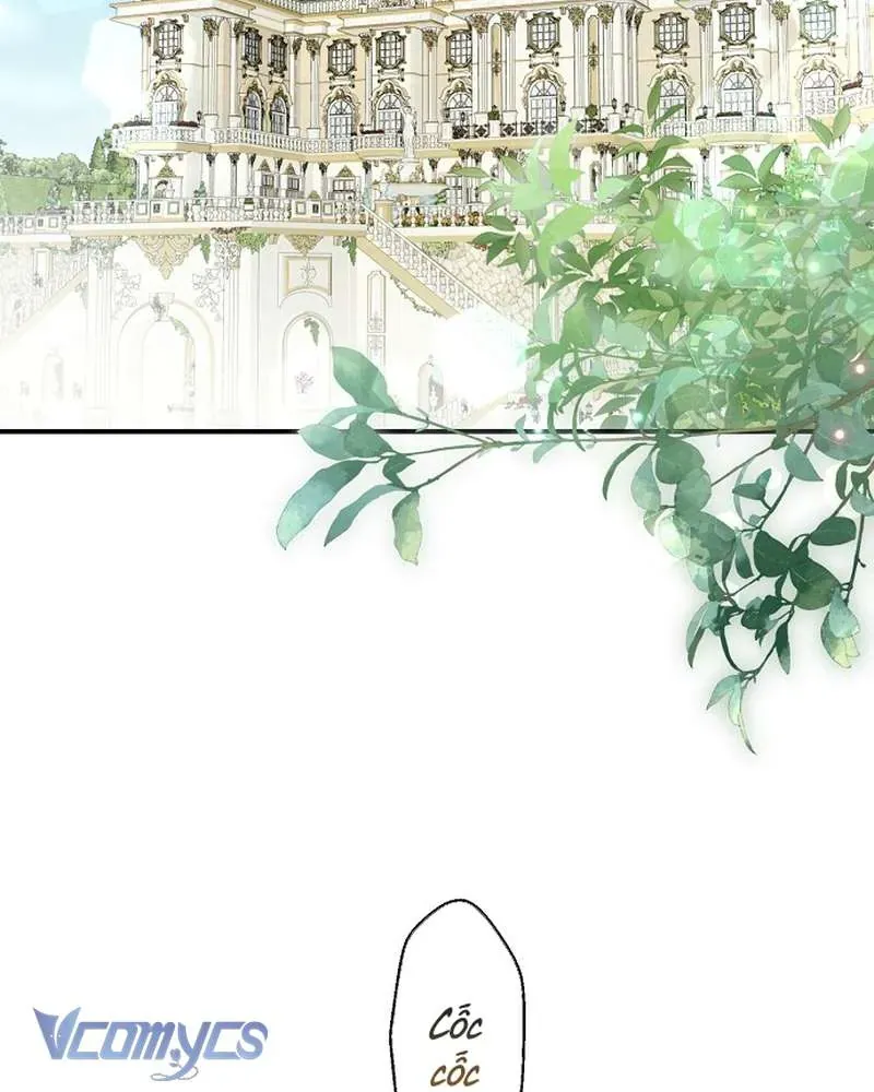 Các Nam Chính Đã Bị Nữ Phụ Cướp Mất Chap 64 - Next Chap 63