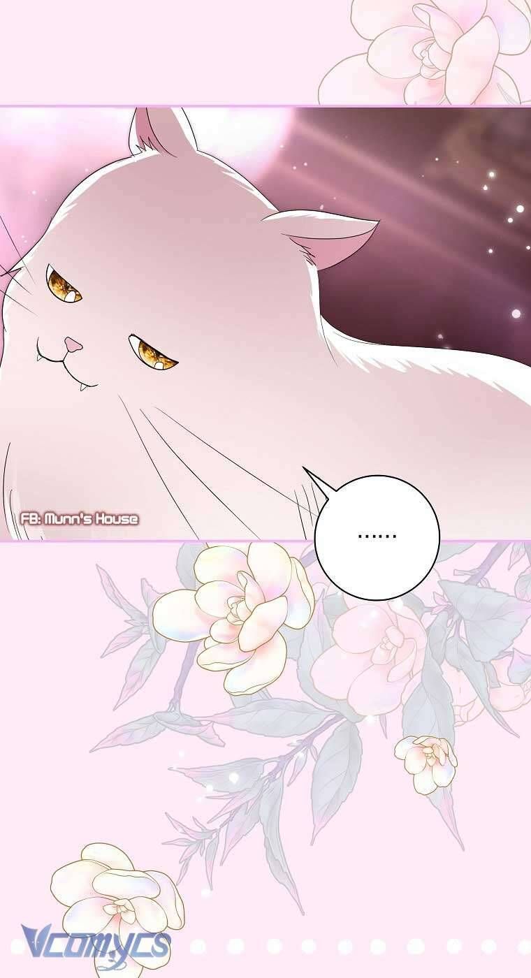 Này Boss Phản Diện, Tôi Có Thể Làm Mọi Thứ Trừ Cưới Ngài Chap 36 - Next Chap 35