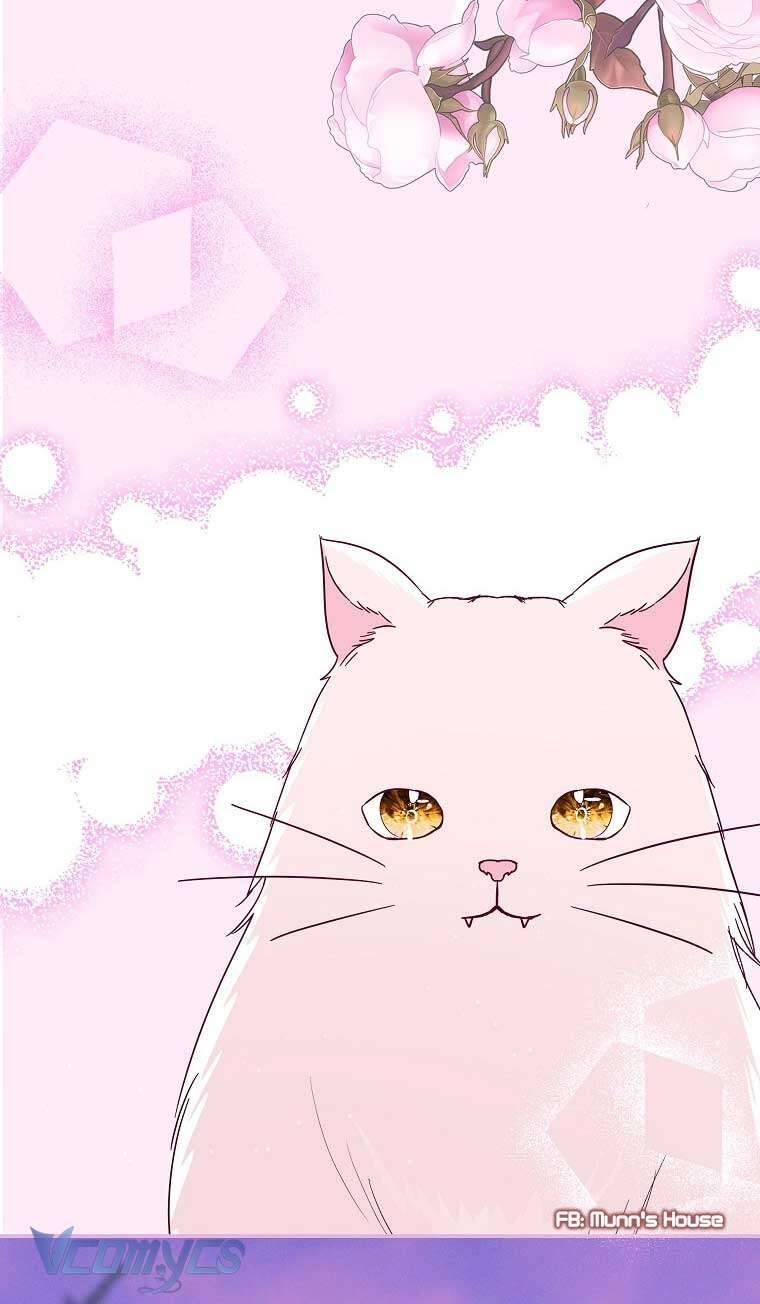 Này Boss Phản Diện, Tôi Có Thể Làm Mọi Thứ Trừ Cưới Ngài Chap 36 - Next Chap 35