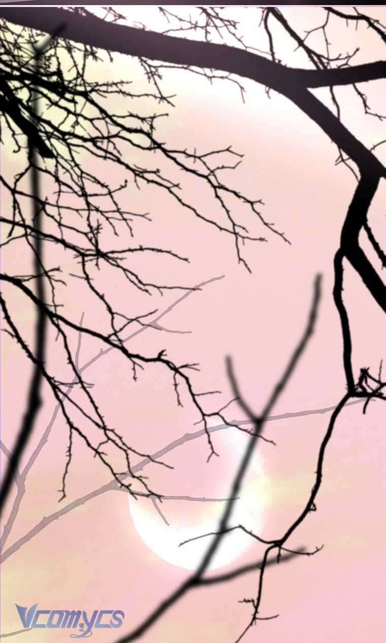 Này Boss Phản Diện, Tôi Có Thể Làm Mọi Thứ Trừ Cưới Ngài Chap 36 - Next Chap 35