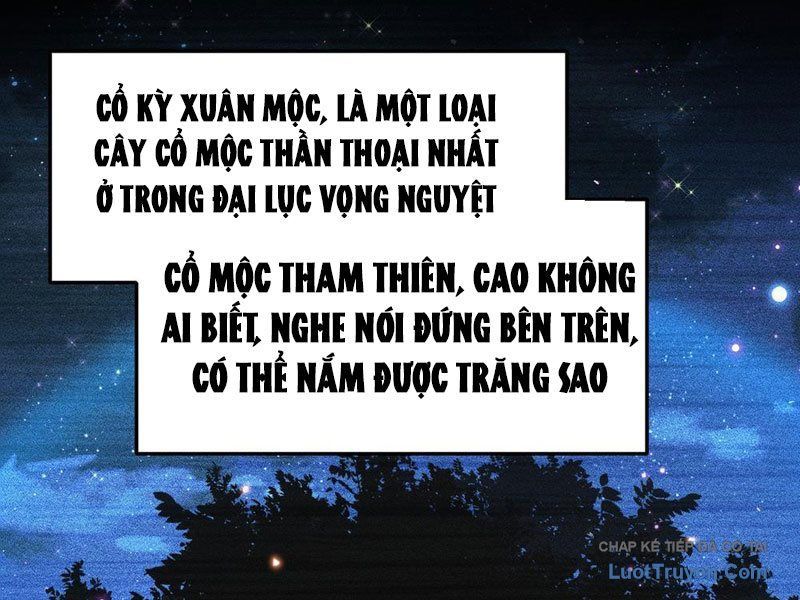Kim Đan To Bằng Hằng Tinh! Ngươi Gọi Đây Mà Là Tu Tiên Á?! Chap 13 - Next Chap 12