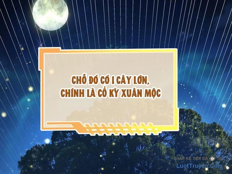 Kim Đan To Bằng Hằng Tinh! Ngươi Gọi Đây Mà Là Tu Tiên Á?! Chap 13 - Next Chap 12