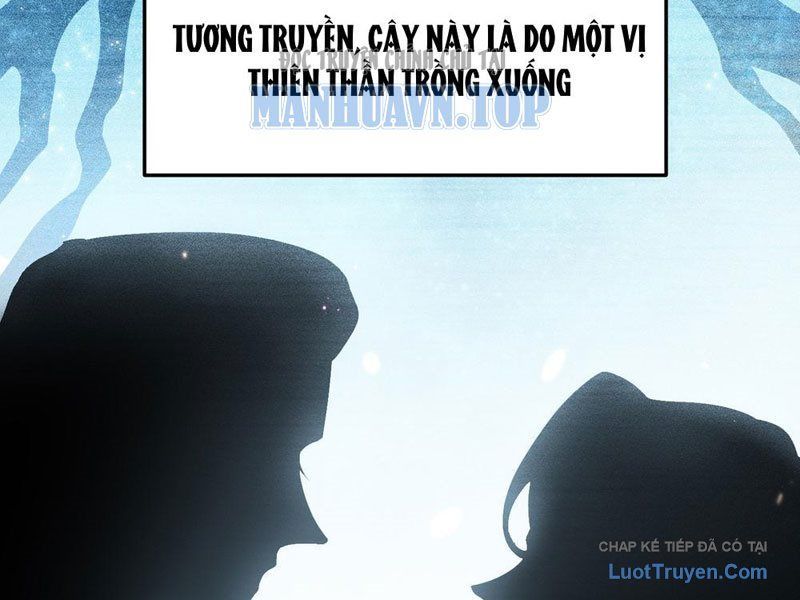 Kim Đan To Bằng Hằng Tinh! Ngươi Gọi Đây Mà Là Tu Tiên Á?! Chap 13 - Next Chap 12