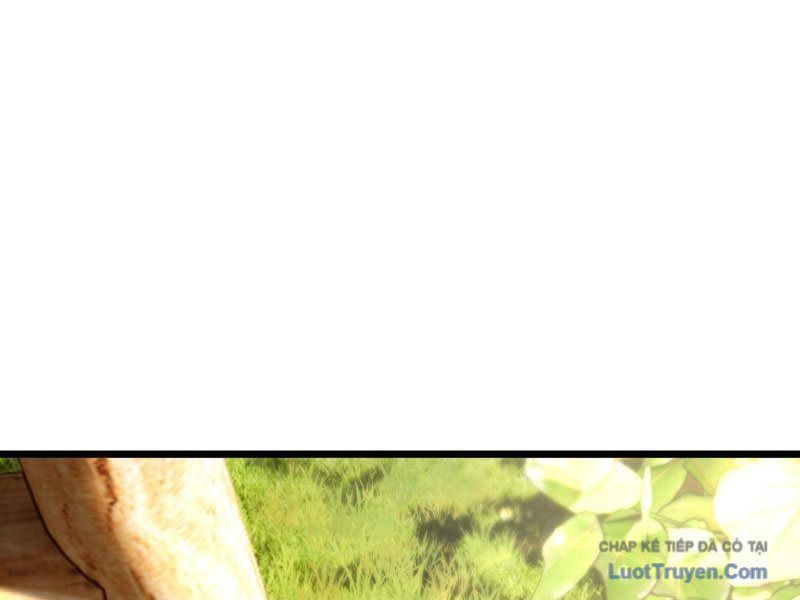 Kim Đan To Bằng Hằng Tinh! Ngươi Gọi Đây Mà Là Tu Tiên Á?! Chap 13 - Next Chap 12