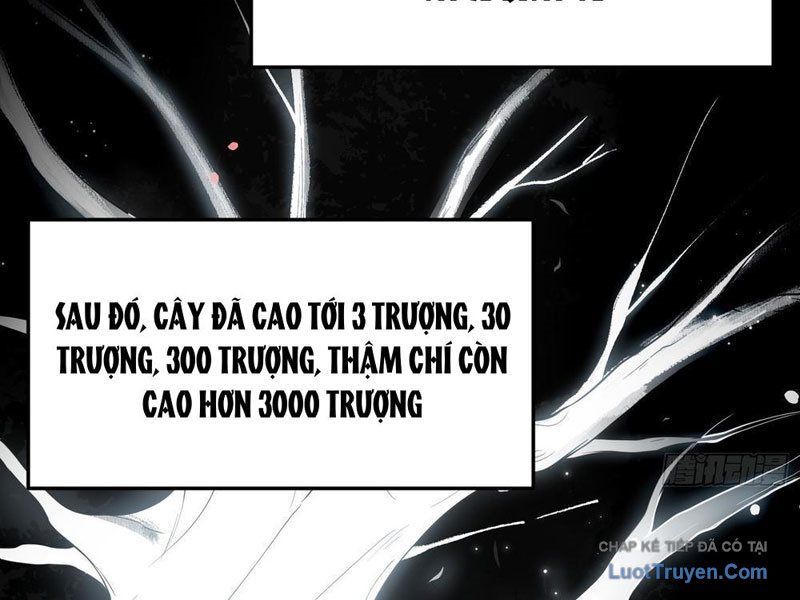 Kim Đan To Bằng Hằng Tinh! Ngươi Gọi Đây Mà Là Tu Tiên Á?! Chap 13 - Next Chap 12