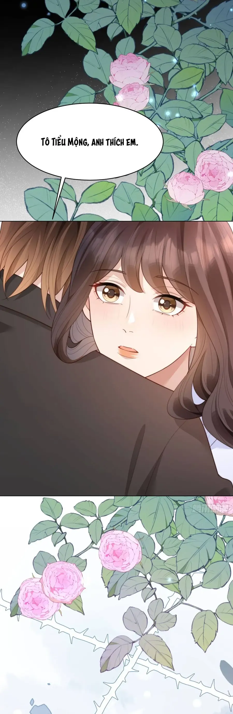 Kết Hôn Với Đại Lão Thực Vật Chap 65 - Next Chap 64