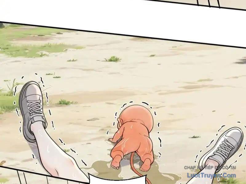 Sau Khi Đầu Thai, Ta Được Kẻ Thù Khắc Thành Vô Địch Chap 42 - Next Chap 41