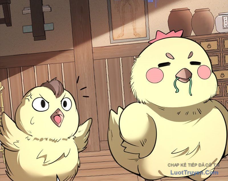 Người Khác Luyện Cấp Ta Tu Tiên, Tới Đại Thừa Kỳ Thì Rời Núi Chap 23 - Next Chap 22