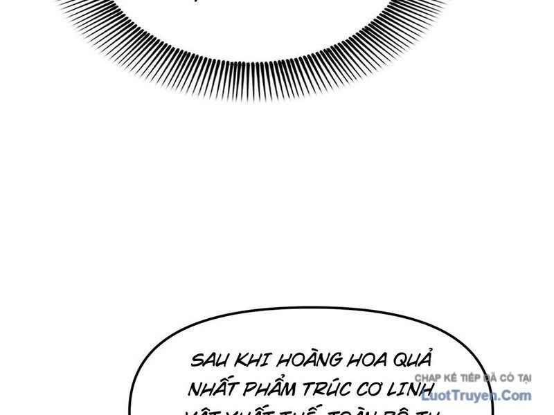 Kim Đan To Bằng Hằng Tinh! Ngươi Gọi Đây Mà Là Tu Tiên Á?! Chap 14 - Next Chap 13