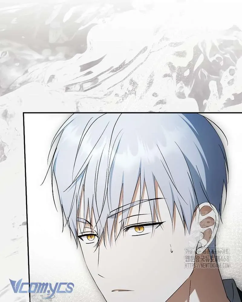 Các Nam Chính Đã Bị Nữ Phụ Cướp Mất Chap 65 - Next Chap 64