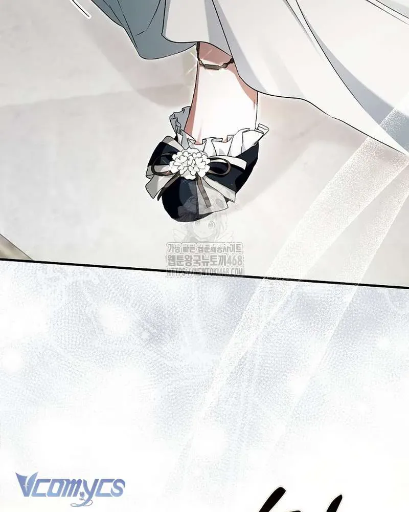 Các Nam Chính Đã Bị Nữ Phụ Cướp Mất Chap 65 - Next Chap 64