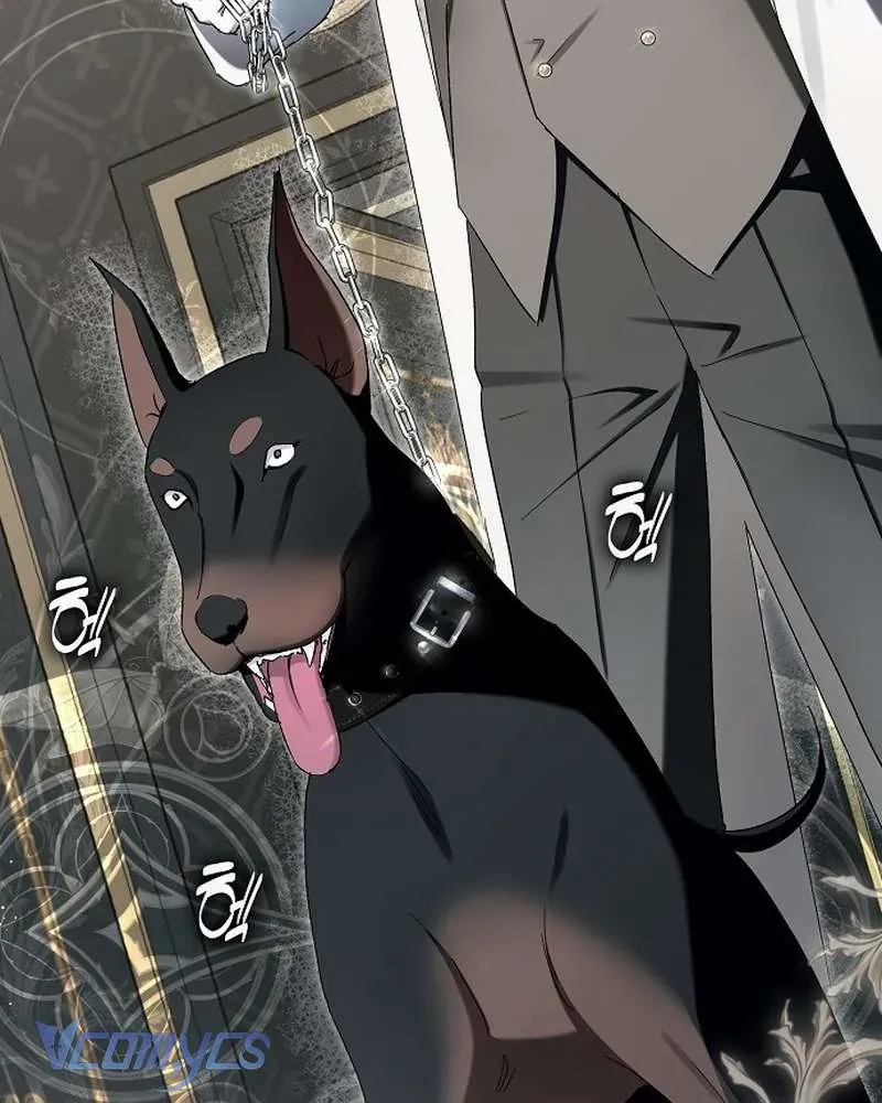 Các Nam Chính Đã Bị Nữ Phụ Cướp Mất Chap 65 - Next Chap 64