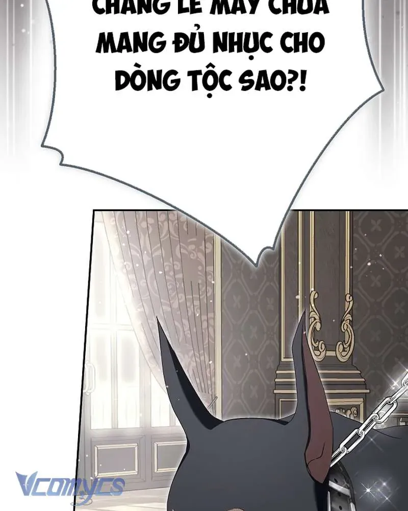 Các Nam Chính Đã Bị Nữ Phụ Cướp Mất Chap 65 - Next Chap 64