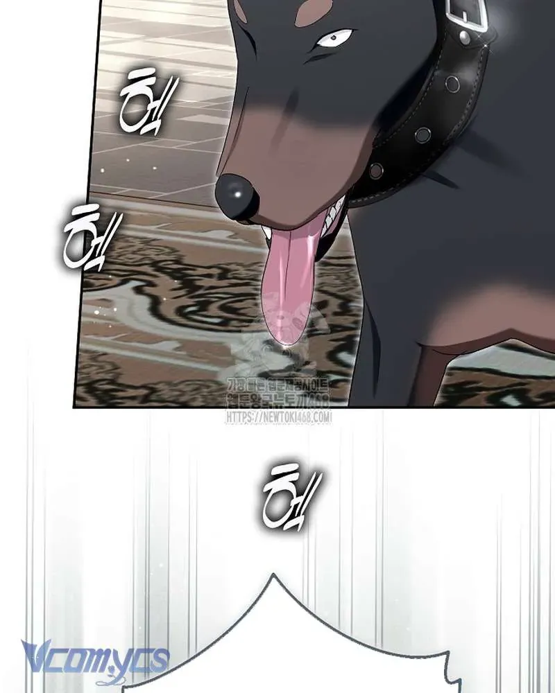 Các Nam Chính Đã Bị Nữ Phụ Cướp Mất Chap 65 - Next Chap 64