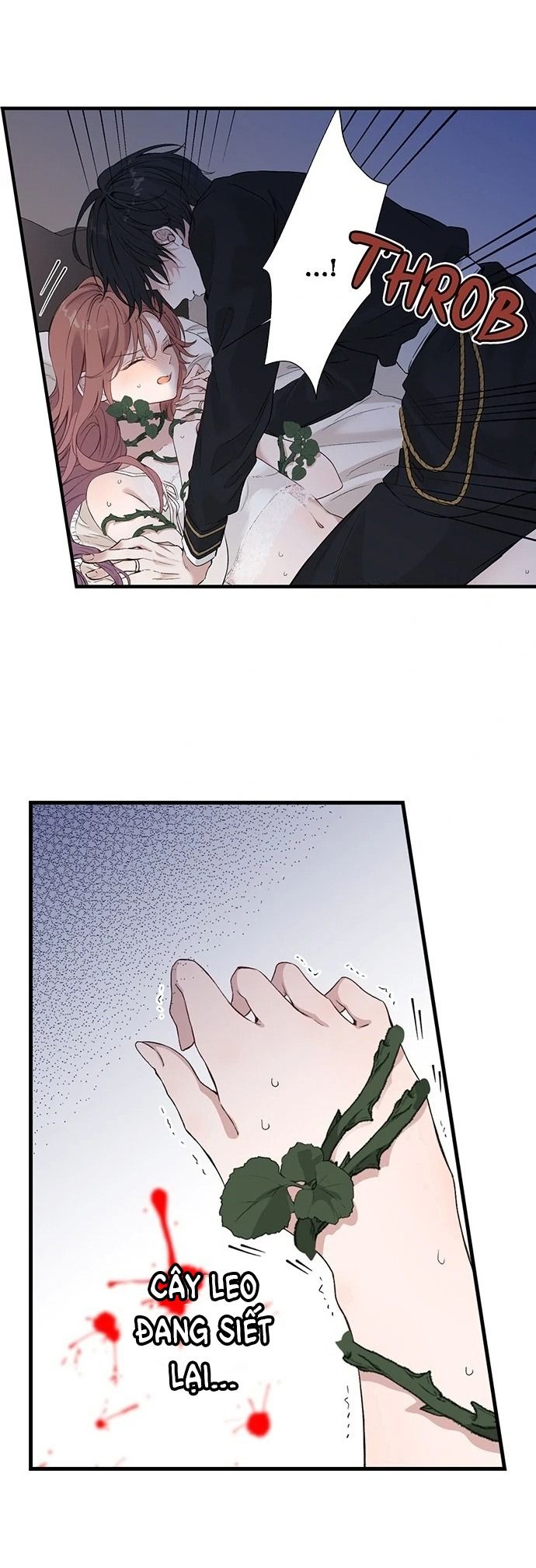 Trang 5 - Làm Tình Trong Một Thế Giới Mà Điều Đó Là Điều Cấm Kỵ