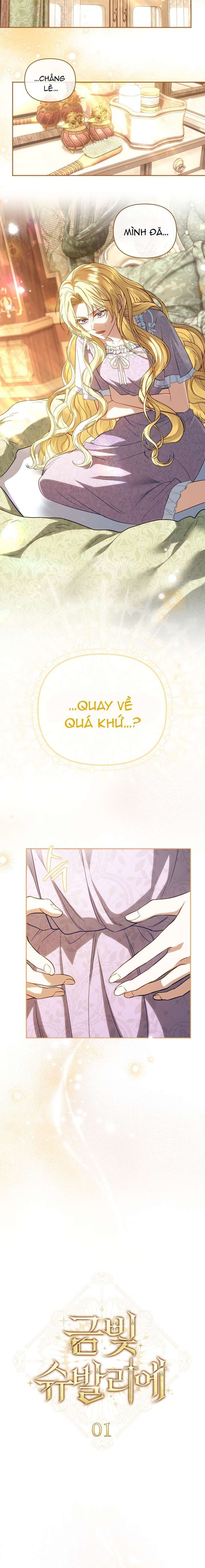 Hiệp Sĩ Vàng Chap 1