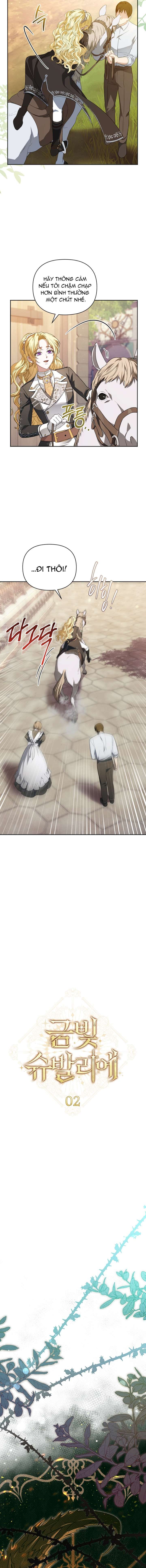 Hiệp Sĩ Vàng Chap 2 - Next Chap 1