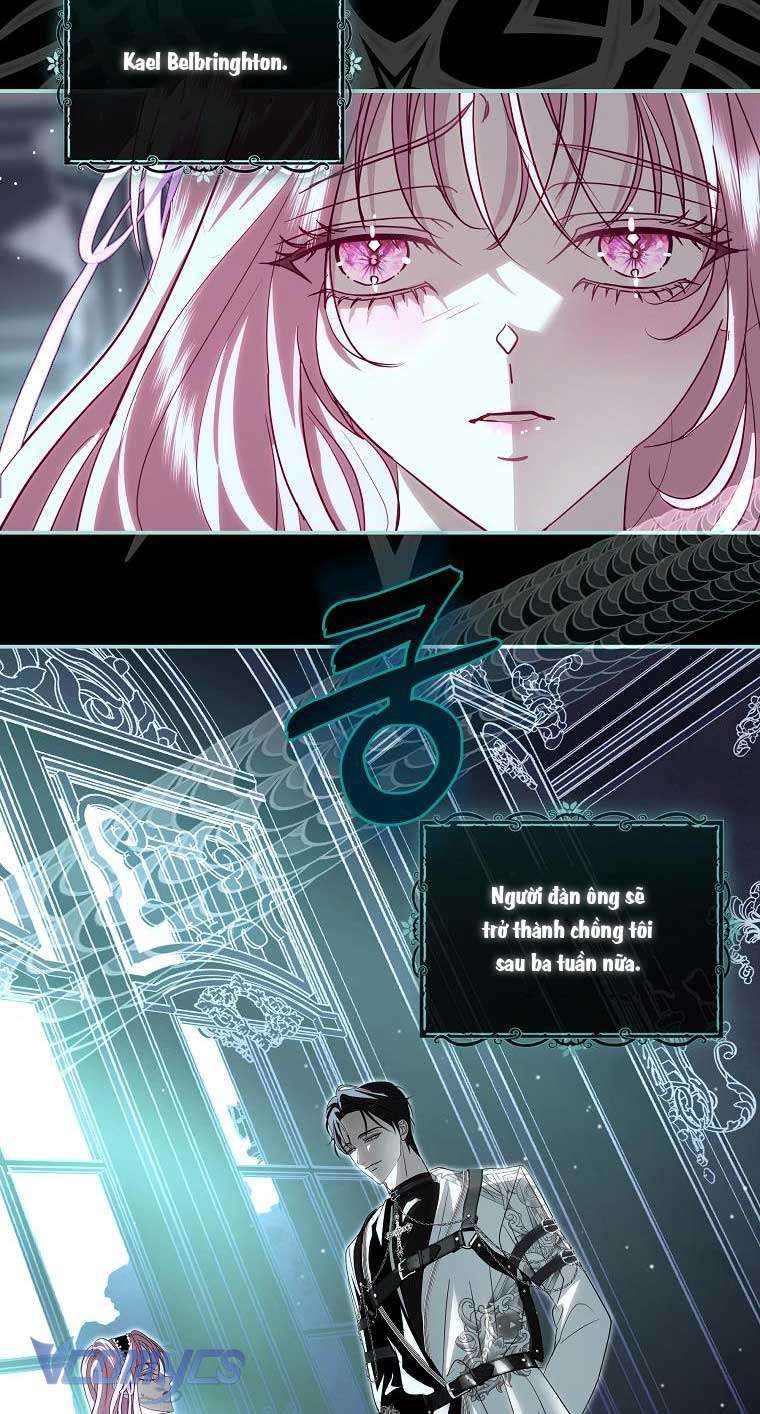 Này Boss Phản Diện, Tôi Có Thể Làm Mọi Thứ Trừ Cưới Ngài Chapter 42 - AB Truyện