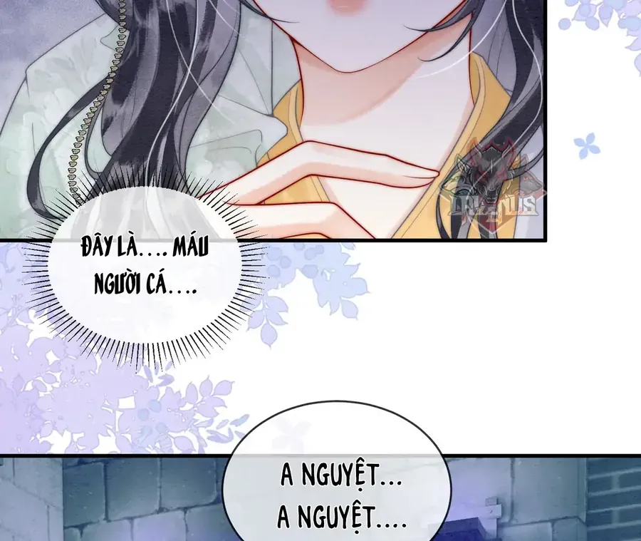 Trang 29 - Nhập Hải