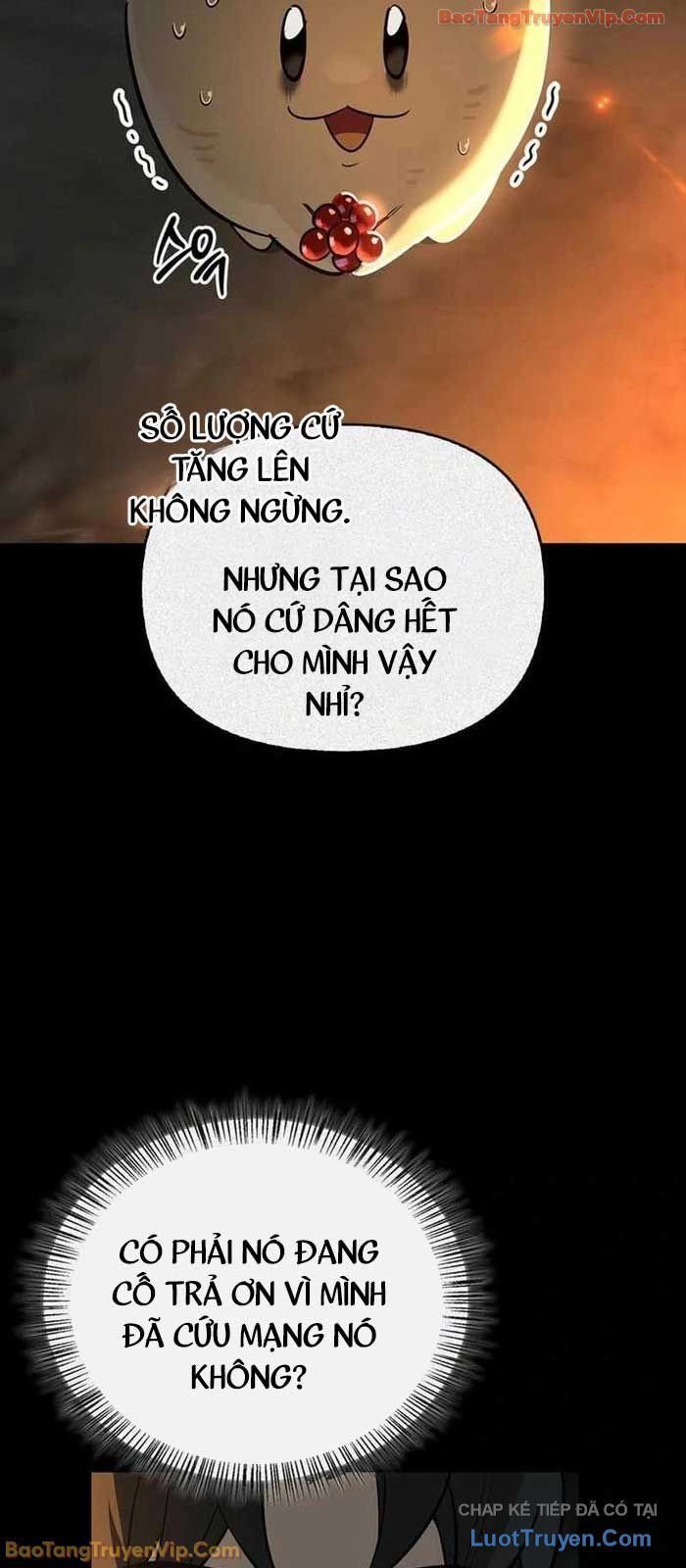 Healer Cấp S Chữa Trị Cho Quái Vật Chap 24 - Next Chap 23