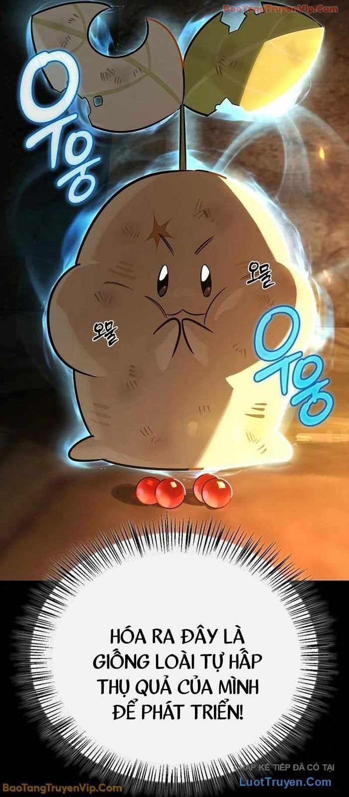 Healer Cấp S Chữa Trị Cho Quái Vật Chap 24 - Next Chap 23