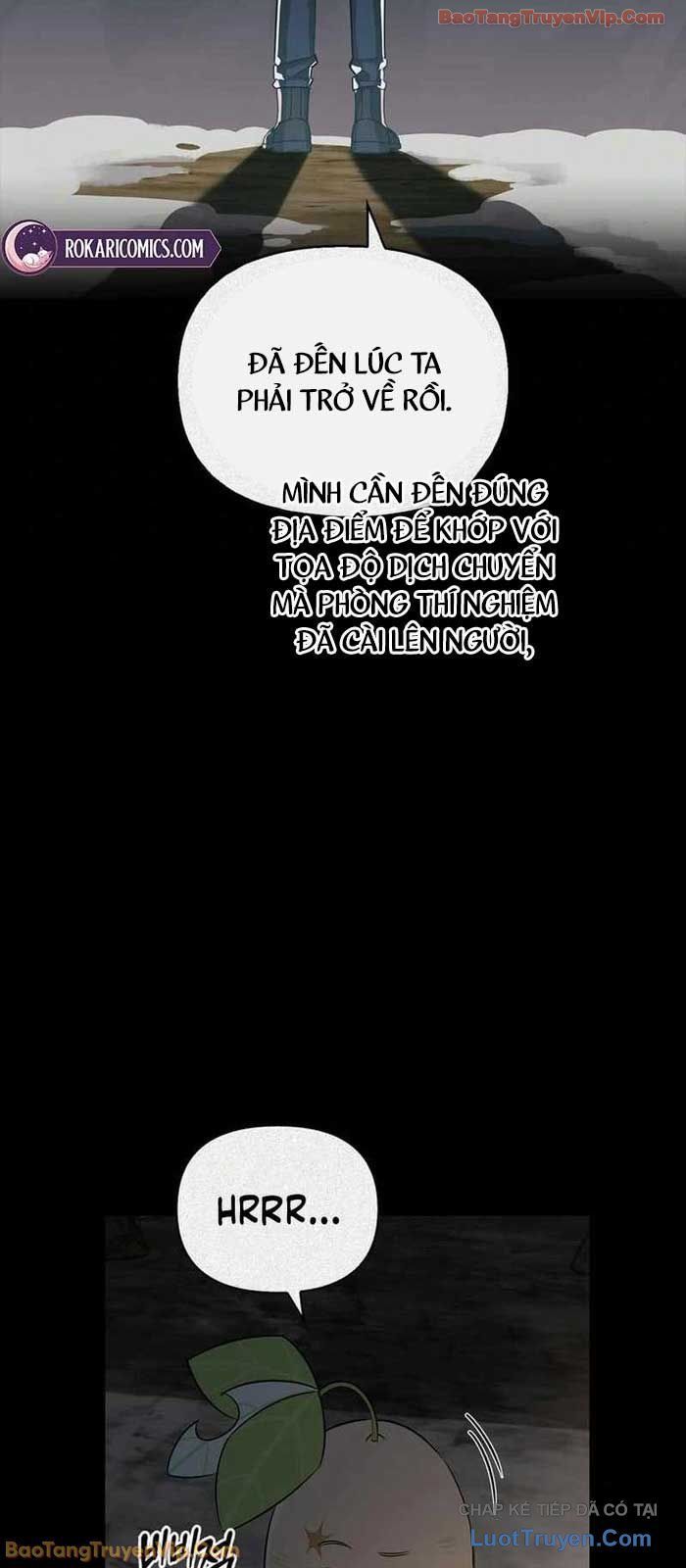 Healer Cấp S Chữa Trị Cho Quái Vật Chap 24 - Next Chap 23