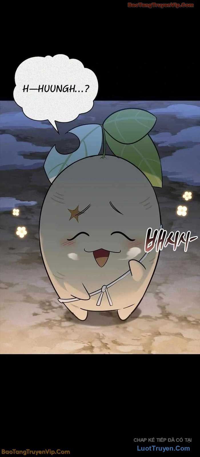 Healer Cấp S Chữa Trị Cho Quái Vật Chap 24 - Next Chap 23