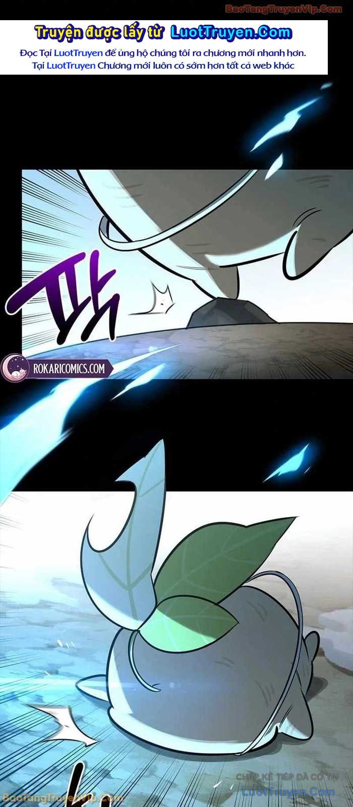 Healer Cấp S Chữa Trị Cho Quái Vật Chap 24 - Next Chap 23