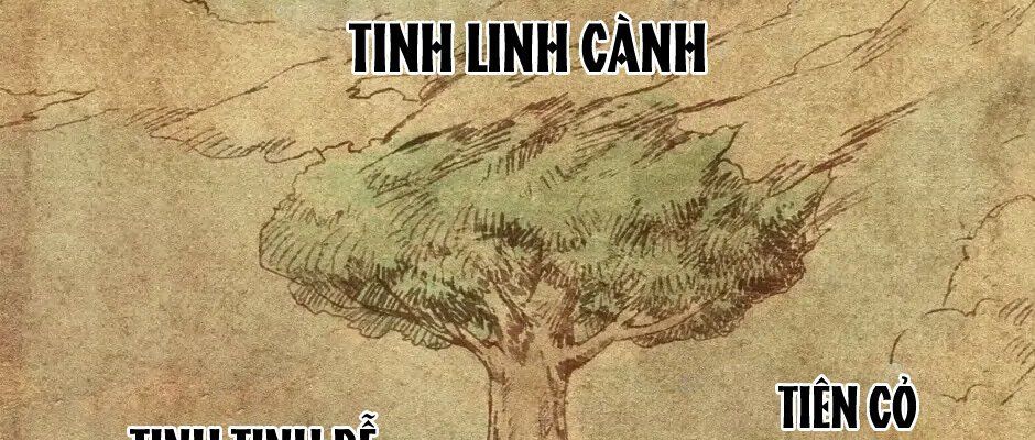 Câu Chuyện Sinh Tồn Của Kiếm Vương Ở Thế Giới Khác Chap 73 - Next Chap 72