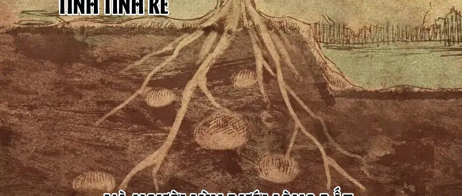 Câu Chuyện Sinh Tồn Của Kiếm Vương Ở Thế Giới Khác Chap 73 - Next Chap 72