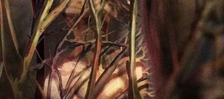 Câu Chuyện Sinh Tồn Của Kiếm Vương Ở Thế Giới Khác Chap 84 - Next Chap 83