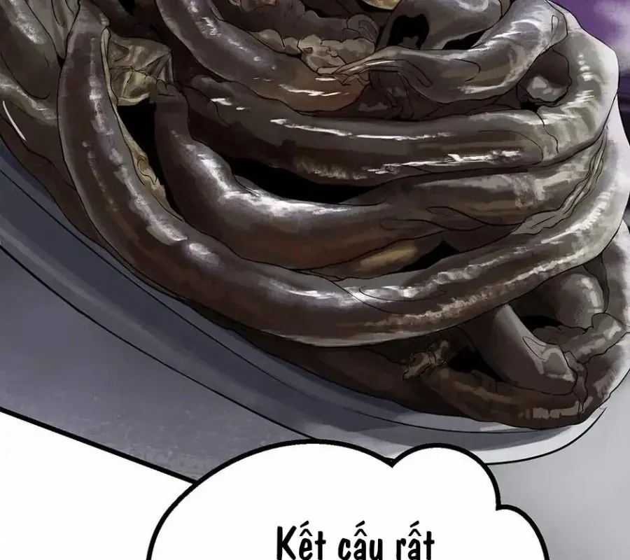 Câu Chuyện Sinh Tồn Của Kiếm Vương Ở Thế Giới Khác Chap 84 - Next Chap 83