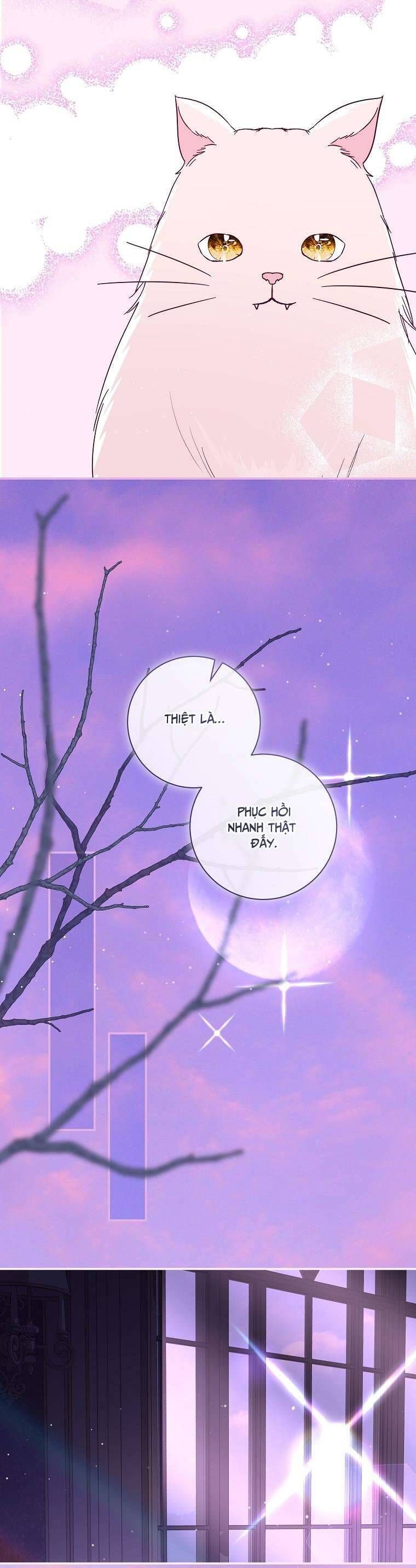 Phản Diện À, Tôi Sẽ Làm Mọi Thứ Cho Anh Trừ Kết Hôn Nhé! Chap 36 - Next Chap 35